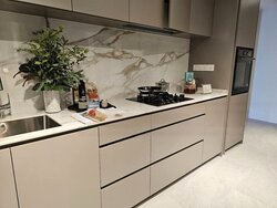 Lorong 8 Toa Payoh (D12), Condominium #457457191